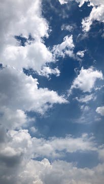 としまえんに投稿された画像（2020/8/12）