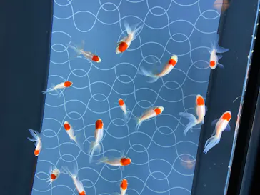 すみだ水族館に投稿された画像（2020/8/12）