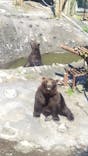 のぼりべつクマ牧場に投稿された画像（2020/8/12）