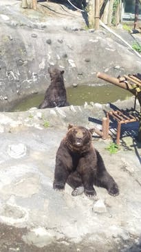 のぼりべつクマ牧場に投稿された画像（2020/8/12）