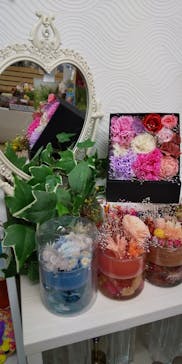 ずこうしつ〜sugamo〜に投稿された画像（2020/8/12）