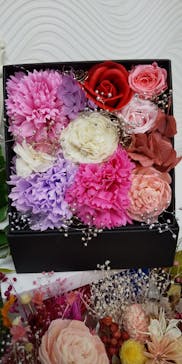 ずこうしつ〜sugamo〜に投稿された画像（2020/8/12）