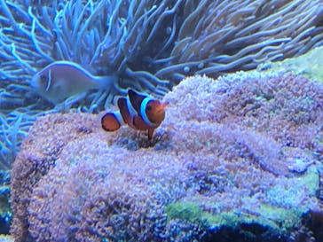 株式会社Gに投稿された画像（2020/8/12）