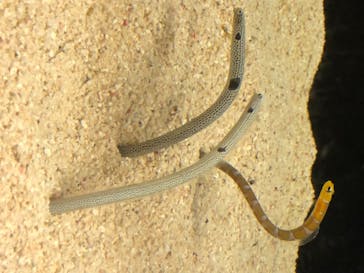 株式会社Gに投稿された画像（2020/8/12）