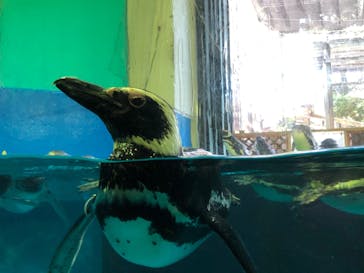 株式会社Gに投稿された画像（2020/8/12）