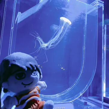 すみだ水族館に投稿された画像（2020/8/12）