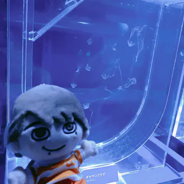 すみだ水族館に投稿された画像（2020/8/12）