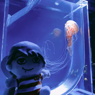 すみだ水族館に投稿された画像（2020/8/12）