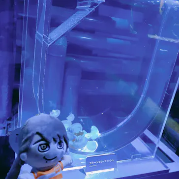 すみだ水族館に投稿された画像（2020/8/12）