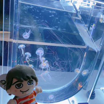 すみだ水族館に投稿された画像（2020/8/12）