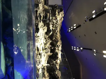 すみだ水族館に投稿された画像（2020/8/12）