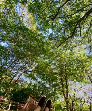 神戸布引ハーブ園／ロープウェイに投稿された画像（2020/8/12）