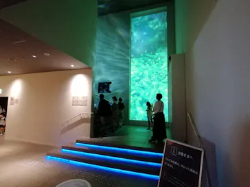 すみだ水族館に投稿された画像（2020/8/12）