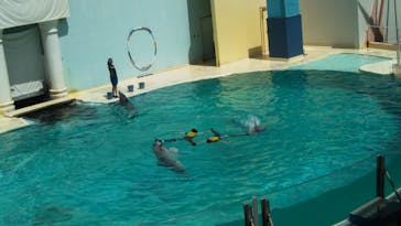 株式会社Gに投稿された画像（2020/8/12）