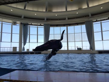 アクアワールド茨城県大洗水族館に投稿された画像（2020/8/12）