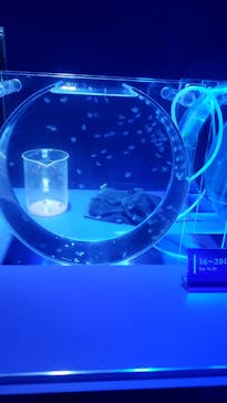 京都水族館に投稿された画像（2020/8/12）