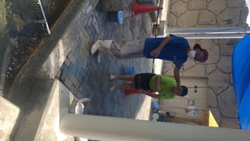 志摩市浜島磯体験施設 海ほおずきに投稿された画像（2020/8/12）