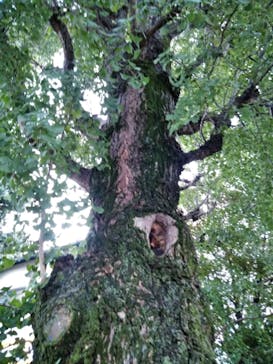 としまえんに投稿された画像（2020/8/12）