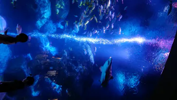 すみだ水族館に投稿された画像（2020/8/12）