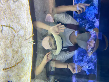 すみだ水族館に投稿された画像（2020/8/12）