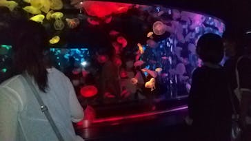 京都水族館に投稿された画像（2020/8/12）