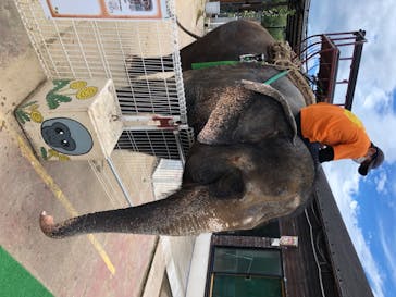 那須ワールドモンキーパークに投稿された画像（2020/8/12）