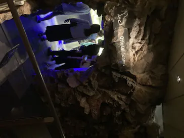 すみだ水族館に投稿された画像（2020/8/12）