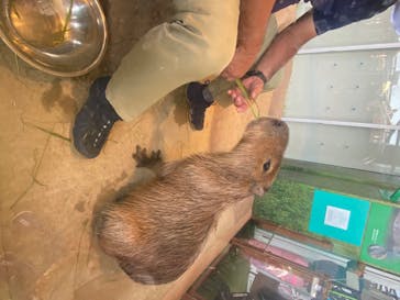 新江ノ島水族館に投稿された画像（2020/8/12）