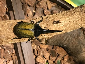 としまえんに投稿された画像（2020/8/12）