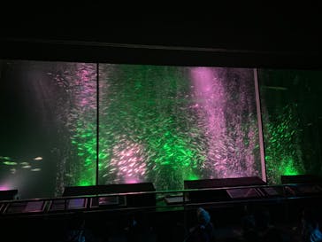 南知多ビーチランド＆南知多おもちゃ王国に投稿された画像（2020/8/12）