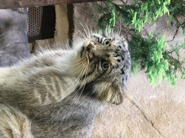 那須どうぶつ王国に投稿された画像（2020/8/12）