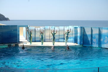 新江ノ島水族館に投稿された画像（2020/8/12）