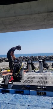 プロダイブショップ ラグナに投稿された画像（2020/8/12）