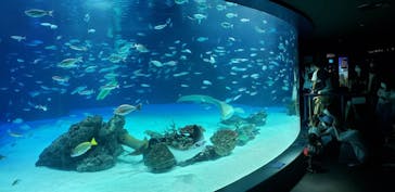 サンシャイン水族館に投稿された画像（2020/8/12）