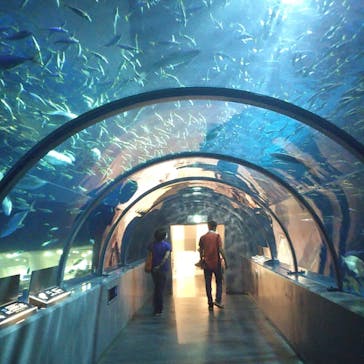 登別マリンパークニクスに投稿された画像（2020/8/12）