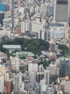 東京スカイツリーに投稿された画像（2020/8/12）
