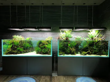 すみだ水族館に投稿された画像（2020/8/12）