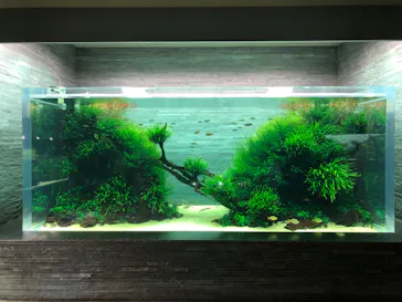 すみだ水族館に投稿された画像（2020/8/12）