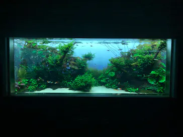 すみだ水族館に投稿された画像（2020/8/12）