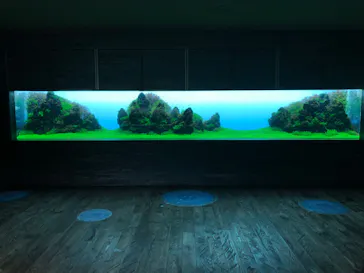 すみだ水族館に投稿された画像（2020/8/12）