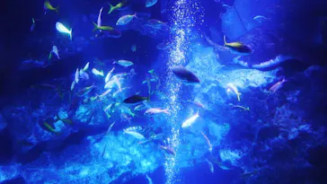 すみだ水族館に投稿された画像（2020/8/12）