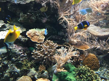 株式会社Gに投稿された画像（2020/8/12）