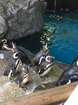 株式会社Gに投稿された画像（2020/8/12）