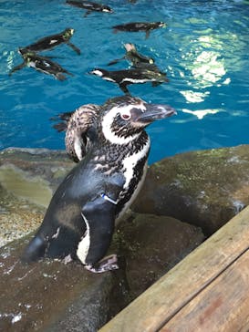 株式会社Gに投稿された画像（2020/8/12）