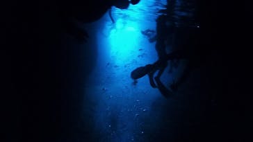 沖縄ダイビング ピンクマーメイドに投稿された画像（2020/8/12）