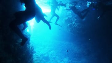 沖縄ダイビング ピンクマーメイドに投稿された画像（2020/8/12）