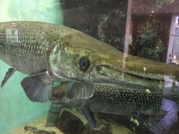 株式会社Gに投稿された画像（2020/8/12）