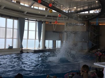 アクアワールド茨城県大洗水族館に投稿された画像（2020/8/12）
