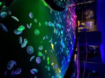 すみだ水族館に投稿された画像（2020/8/12）