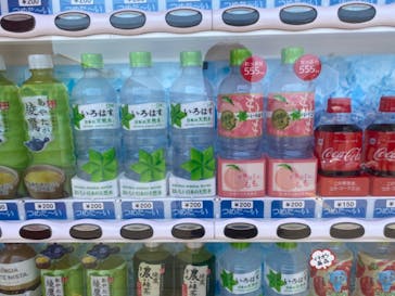 蓮沼ウォーターガーデンに投稿された画像（2020/8/12）